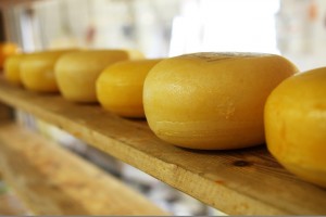 cheese-2785_1280