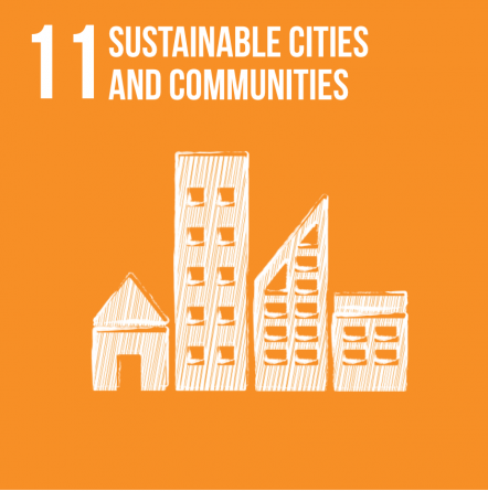 SDG11: Urban Planning