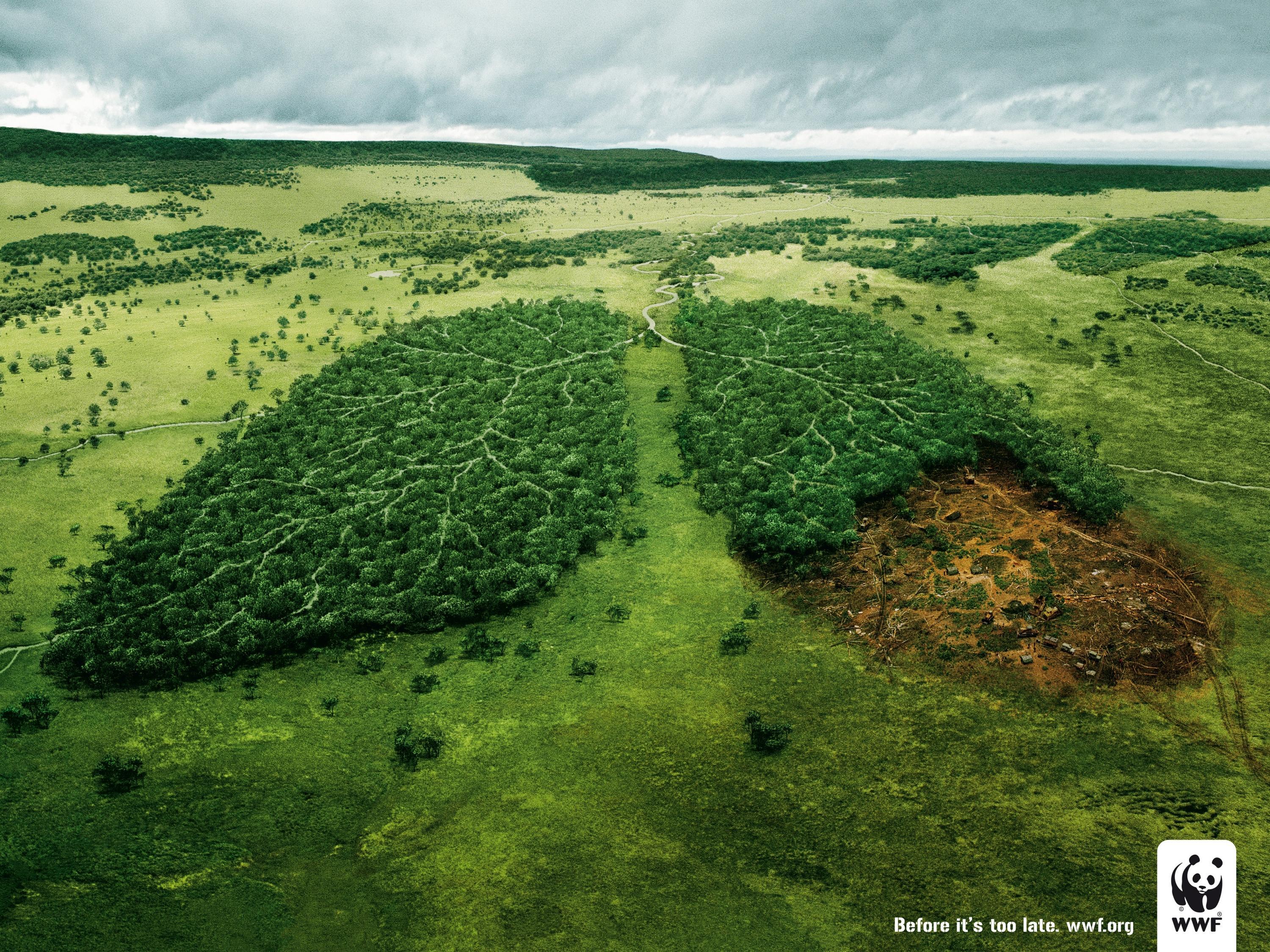 Papier Consuminderen: Laat Minder Bomen En Grondstoffen Verloren Gaan