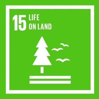 SDG15: Het Leven. Mede Mogelijk Gemaakt Door: BOSSEN!
