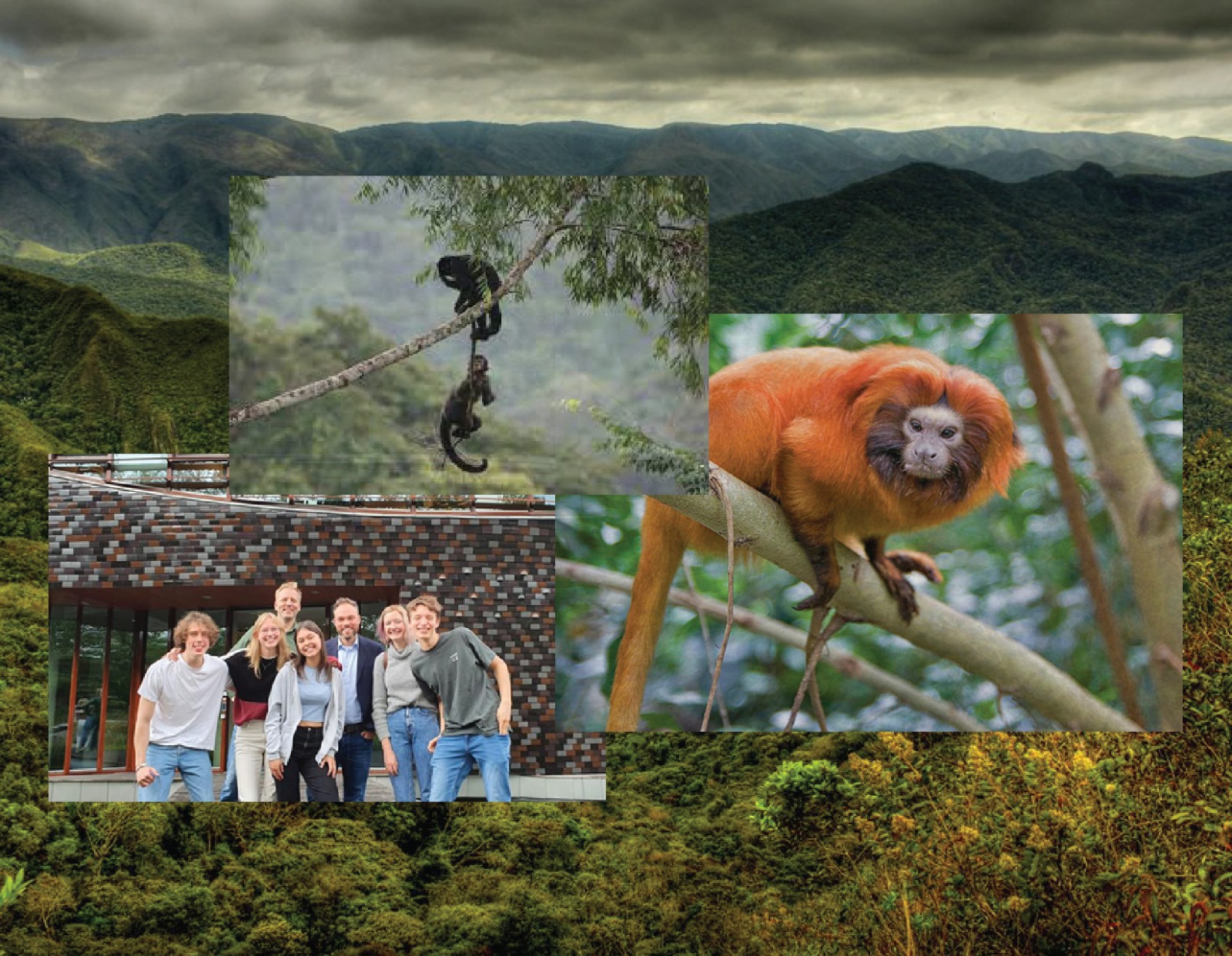 Actie Voor Het Regenwoud! – Ons Bezoek Aan Het WNF