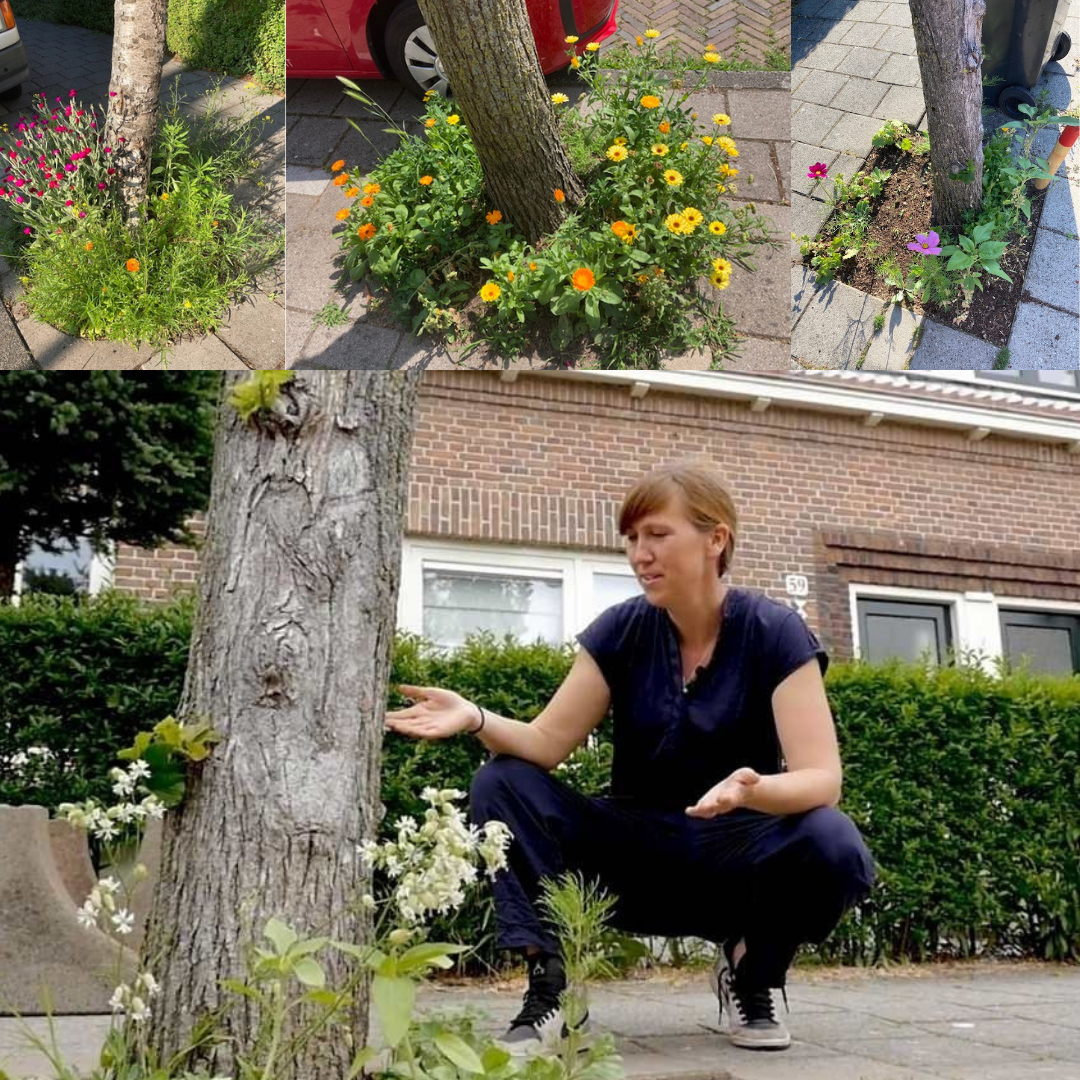 Je Buurt In Bloei: Hoe Guerrilla Gardeners Zorgen Voor Meer Groen
