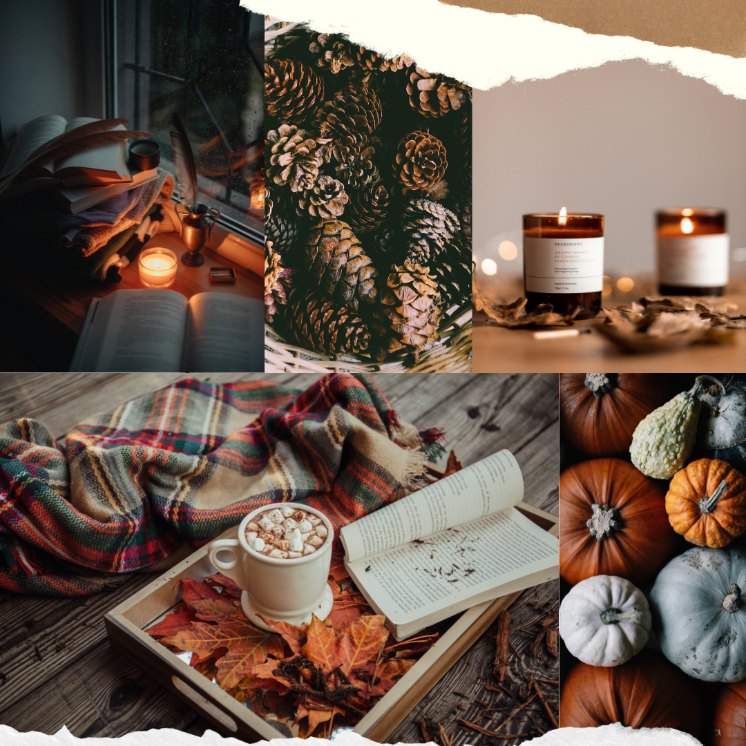 Fall Season Is Here: 5 Tips To Make This Fall More Sustainable And Cozy - Blog Header - Duurzame Student