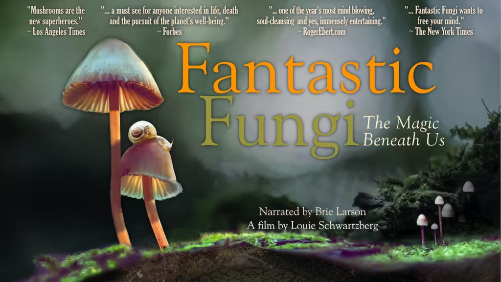 fantastic fungi movie poster
