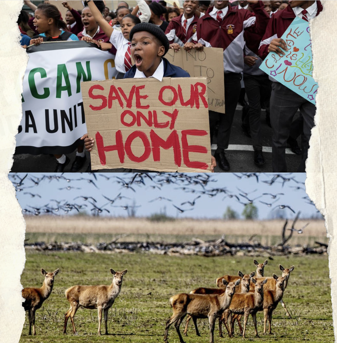 Save Our Home - Blogspot