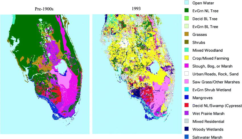 florida state ecology