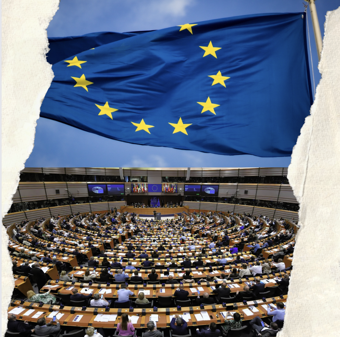 European Elections